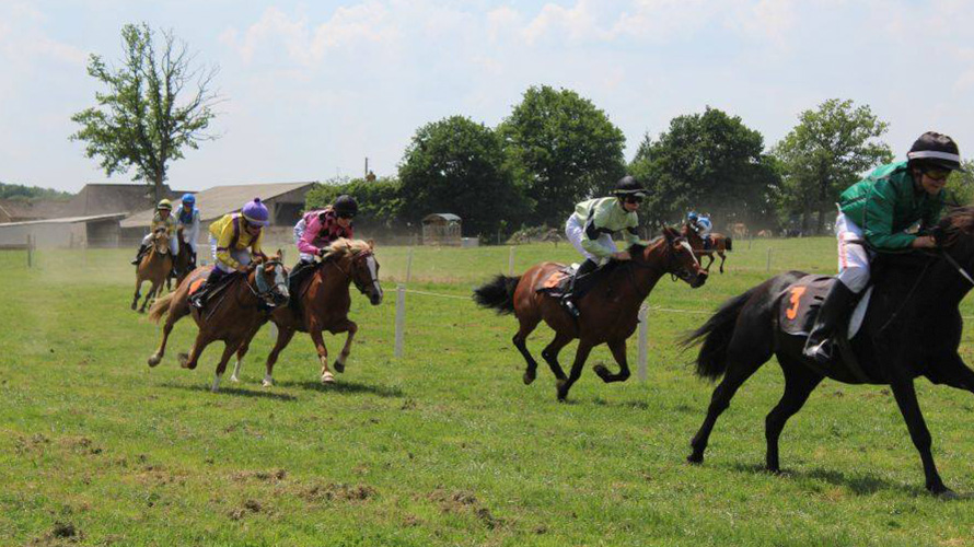 course-poneys