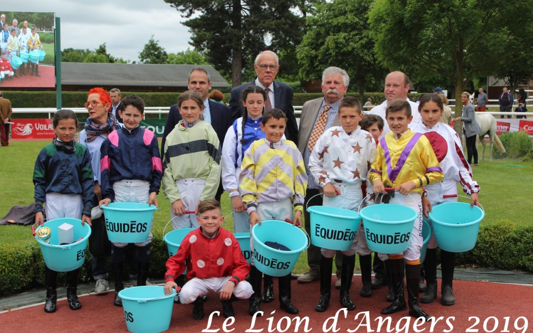 Le Lion d’Angers