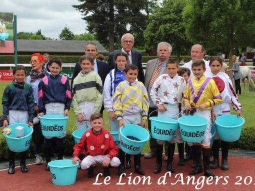 Le Lion d’Angers