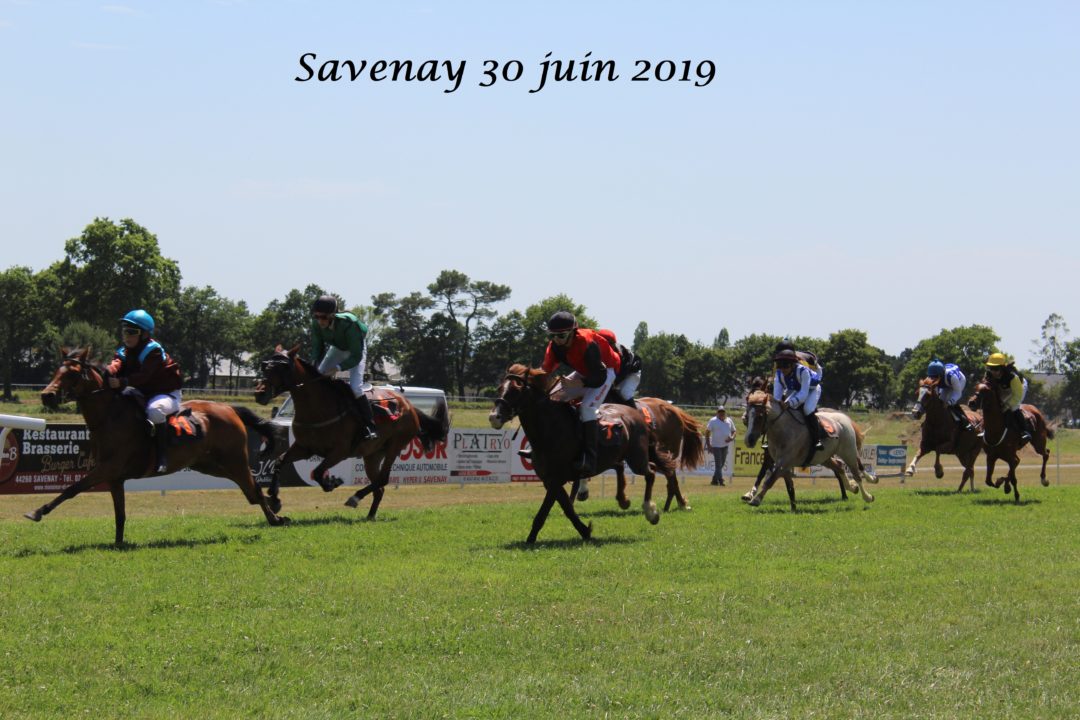 Savenay