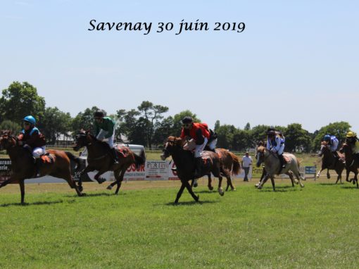 Savenay