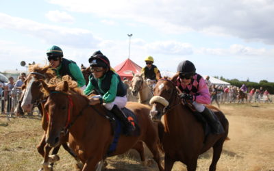 Courses De Poneys De L Ouest Pour Jeunes Cavaliers
