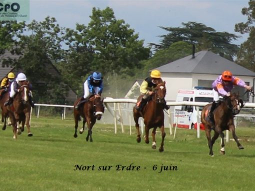 Hippodrome de Nort sur Erdre – 6 juin 2021 –