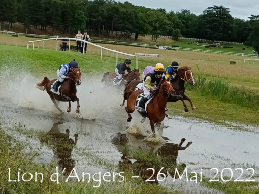Hippodrome du Lion d’Angers