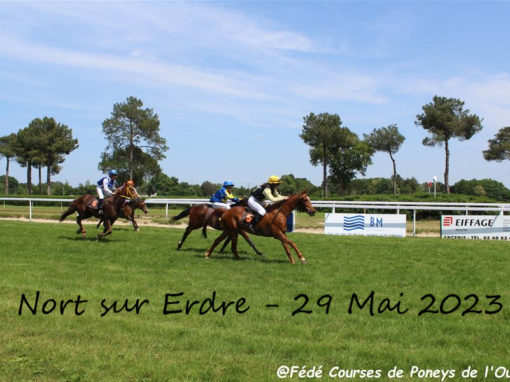 Hippodrome de Nort sur Erdre