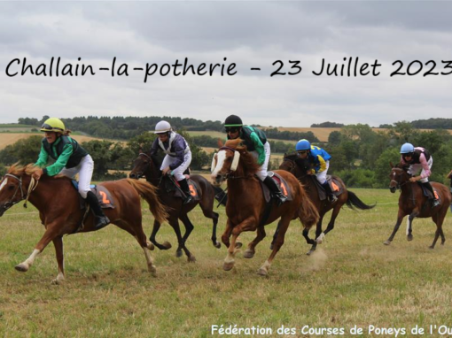Challain-la-potherie