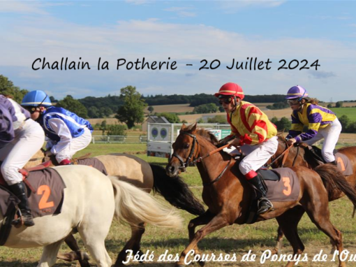 Challain la Potherie