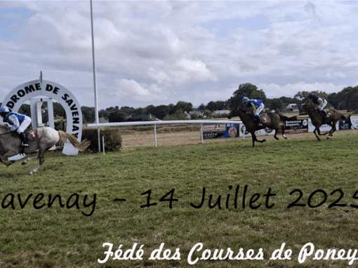 Hippodrome de Savenay
